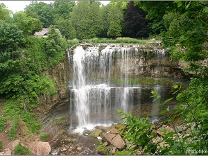 Webster Falls