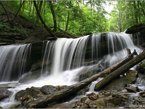 Lower Tews Falls