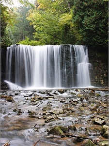 Hoggs Falls